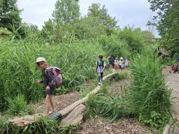image 87